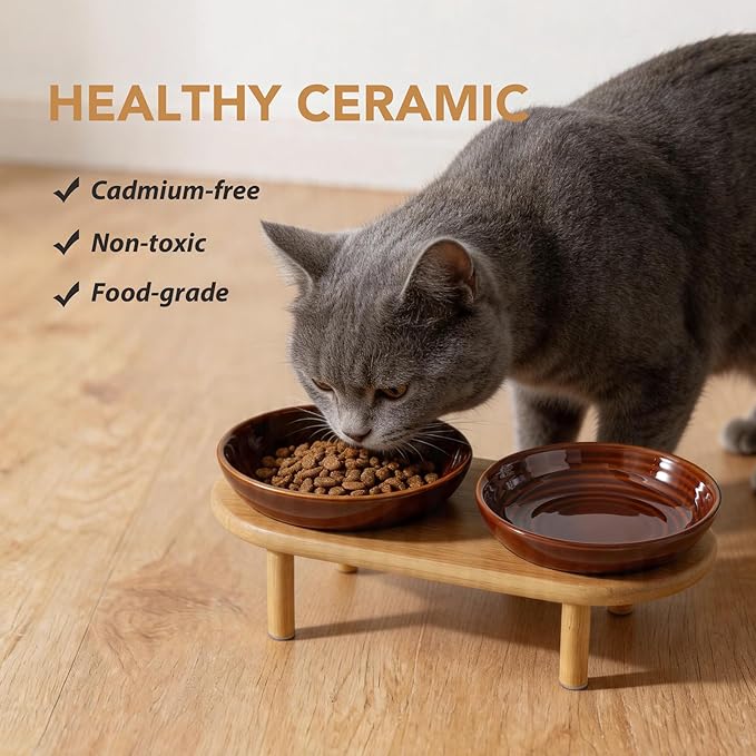 Havniva Elevated Cat Bowls Raised Ceramic Cat Bowl, 5.9” Wide Opening Cat Food Bowl Whisker Friendly Cat Dish Anti-Slip with Bamboo Stand, Shallow Pet Food & Water Bowl for Indoor Cats