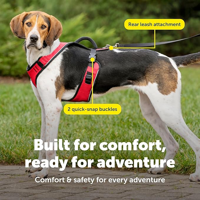 PetSafe EasySport Dog Harness Adjustable, Padded Dog Harness with Control Handle and Reflective Piping Large, Red