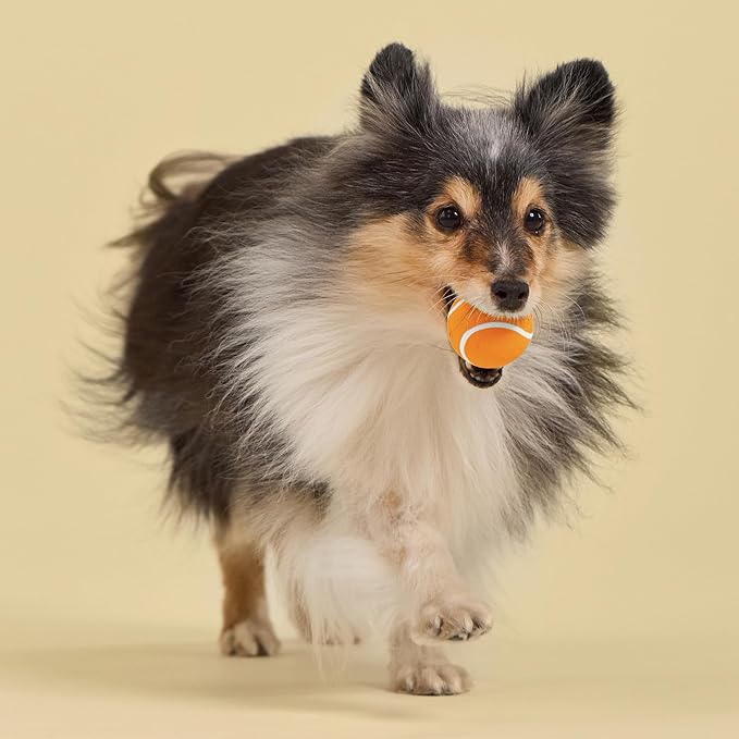 Playology Dog Toys | Squeaky Chew Ball for Dogs, Value 3-Pack | Cheddar Cheese Scented Small Dog Balls | Bouncy Floating Chew Toys for Fetch