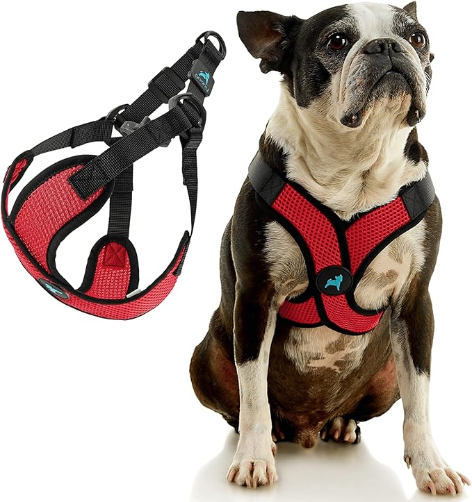 Gooby Comfort X Step in Lite Dog Harness - Choke Free, Escape Free with Light Breathable Mesh - Step in Dog Harness for Small Dogs Only - Quick Release Buckle, Metal D-Rings - Red, X-Small