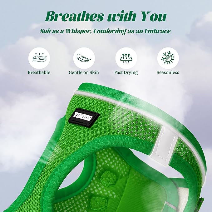 YIMEIS Dog Harness and Leash Set, No Pull Soft Mesh Pet Harness, Reflective Adjustable Puppy Vest for Small Medium Large Dogs, Cats (Green, Small (Pack of 1)