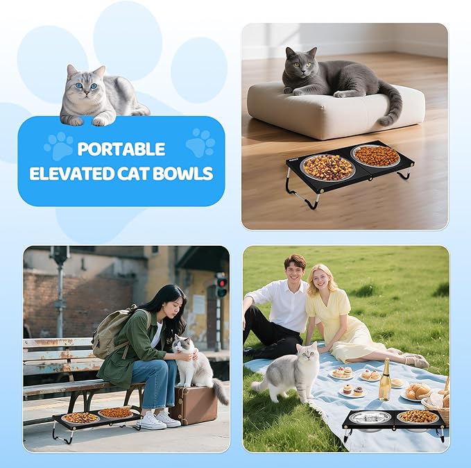 Upgraded Elevated Cat Bowls,10°Tilted Foldable Stand Anti Vomiting Raised Cat Dishes for Food and Water,2 Stainless Steel Bowls for Cats and Puppy (2 Pack)