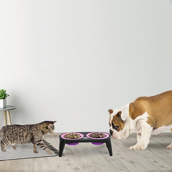Elevated Cat and Dog Food Bowls with Non-Slip Stand - Removable and Collapsible Silicone Feeder for Food and Water - 16-Ounces Each by PETMAKER (Pink)