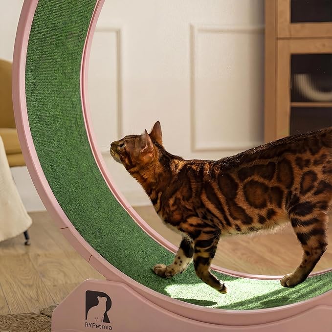 Cat Exercise Wheel, 31.5 Inch Indoor Treadmill for Cats with Carpeted Runway, Screw-Fixed Assembly for Easy Setup, Silent & Safe Fitness Equipment for Most Cats