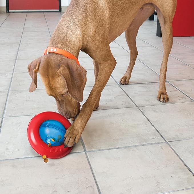 KONG Gyro - Interactive Dog Toy for Treat Dispensing - Dog Slow Feeder for Healthy Eating - for Small Dogs