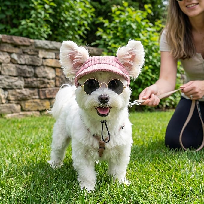 Small Dog Sun Hat with Ear Holes Adjustable Pet Visor Hat and Cute Sunglasses for Dogs Summer Outdoor Sun Protection