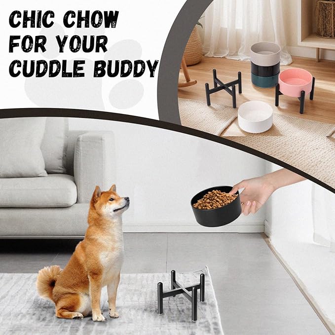 Raised Ceramic Dog Bowl, 6.1'' Modern Feeding Bowl with Non-Slip Stainless Steel Stand, Elevated Food or Water Dish for Small to Medium Dogs, 2 Cups (28.75 fl oz) - White
