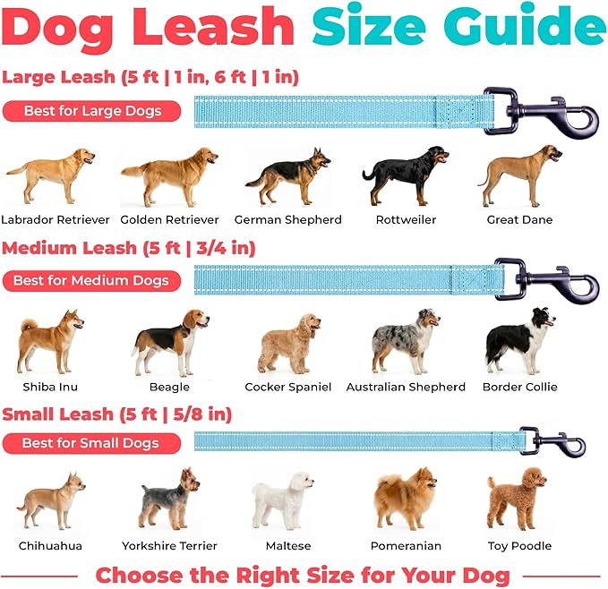 Best Pet Supplies Voyager Reflective Dog Leash or Collar with Neoprene Handle, for Small, Medium, and Large Breed Puppies, Cute and Heavy Duty for Walking, Running and Training - Baby Blue (Leash), S