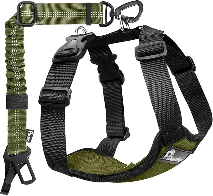 Pawaboo Dog Seat Belt Harness for Car, Dog Car Harness Seatbelt with Double Clips, Adjustable Breathable Pet Vest & Dogs Safety Tether with Elastic Bungee for Small Medium Large Pet, XL, Green + Black