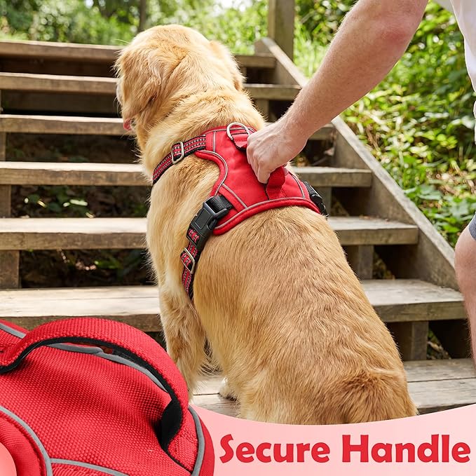 Funfox Dog Harness No Pull, Adjustable Pet Vest Harness, Super Soft Material with Vertical Handle Easy Control, Reflective Night Walking, 2 Leash Clips for XLarge Dogs, Red, XL