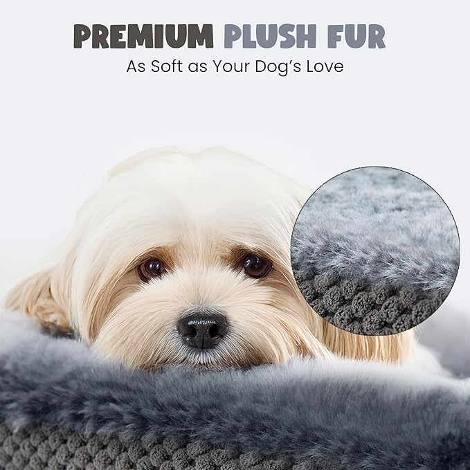 Orthopedic Dog Bed for Large Dogs, XL, 48 Inches, Oval Pet Bed with Memory Foam, Removable Washable Cover, Bolstered Sides, Non-Slip Bottom, Designed for Senior Dogs, Gray