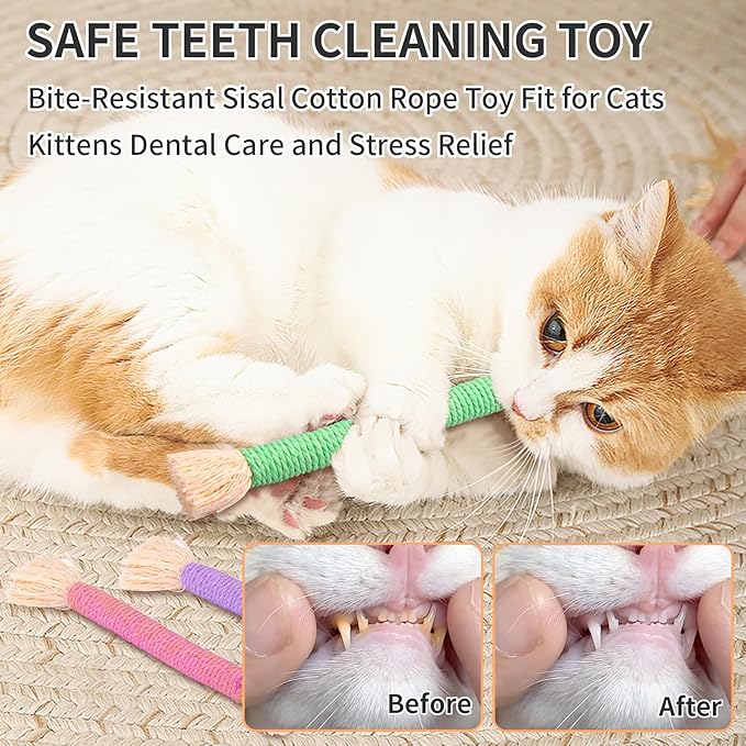 Retro Shaw 6Pcs Cat Chew Ropes with Refillable Natural Catnip,Safe Teeth Cleaning Toy for Indoor Kittens and Cats, Quiet Interactive Kicker String Toys