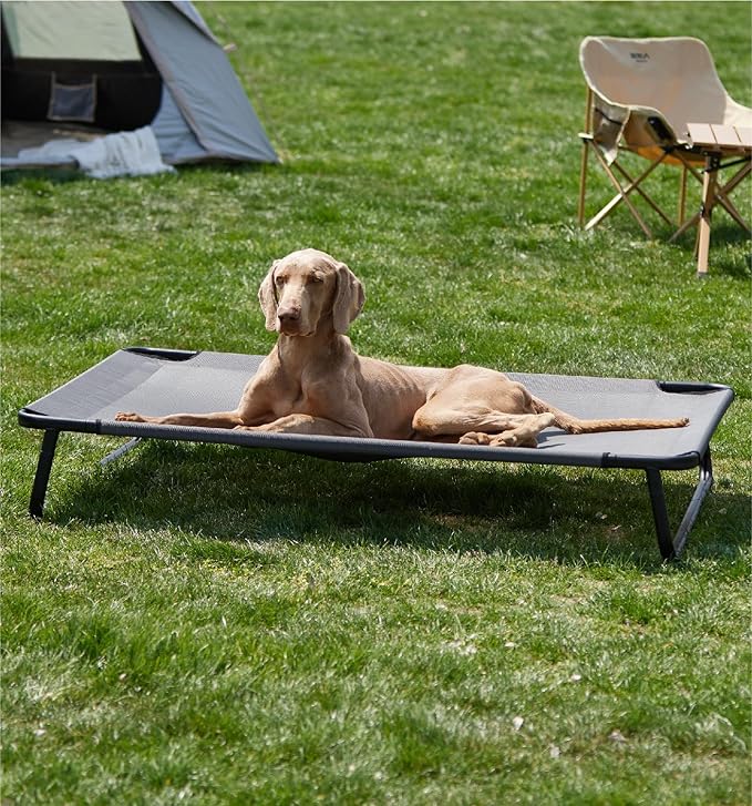 MADE 4 PETS Raised Dog Bed for XXL Dogs - Outdoor Elevated Pet Cot with Snap-in Legs, Washable Mesh, Non-Slip Feet, Durable & Chew-Resistant Hammock Bed, Indoor & Outdoor Use, 54"x37", Gray