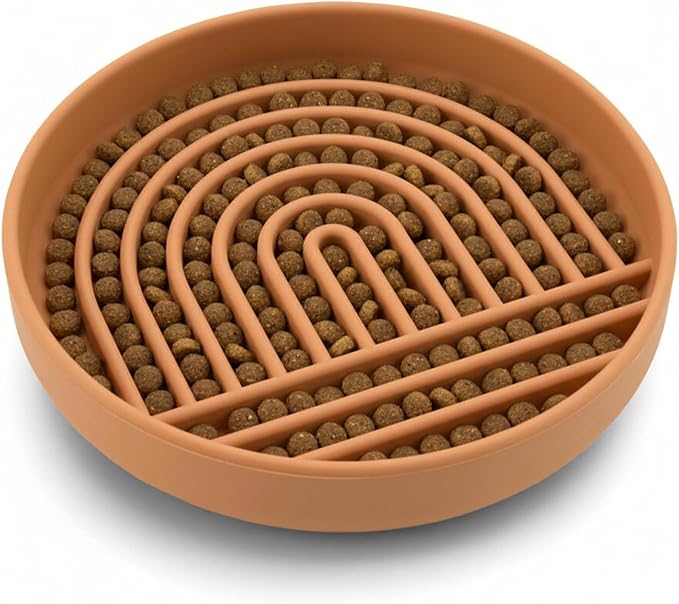 Should We Go? Slow Feeder for Dogs & Cats, The Slowdown Bowl Silicone Slow Eating Mealtime Solution with Modern Lick Mat Design, Reduces Gulping, Fits 1 Cup, 6” Across x 1.25” Tall, Small-Terracotta