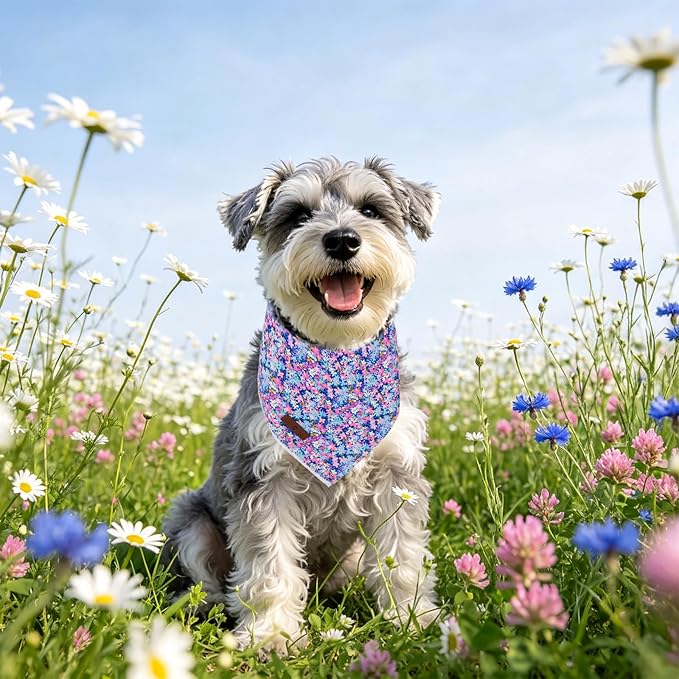Lionet Paws Spring Summer Oxalis Dog Bandana Washable Cotton Handkerchief Scarf Triangle Blue Flower Bandana for Small Medium Dogs Girl Boy