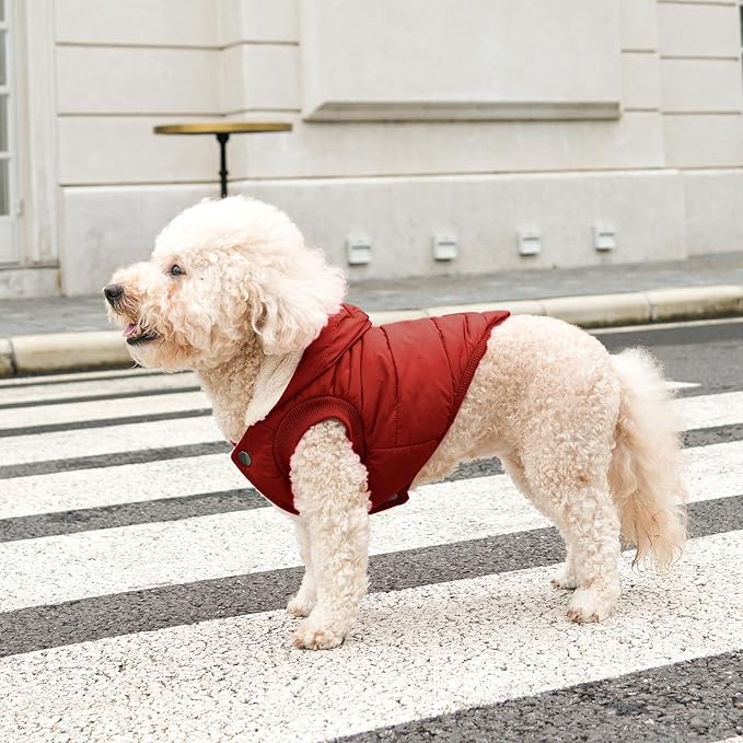 Vecomfy Fleece Lining Extra Warm Dog Hoodie in Winter,Small Dog Jacket Puppy Coats with Hooded,Red S