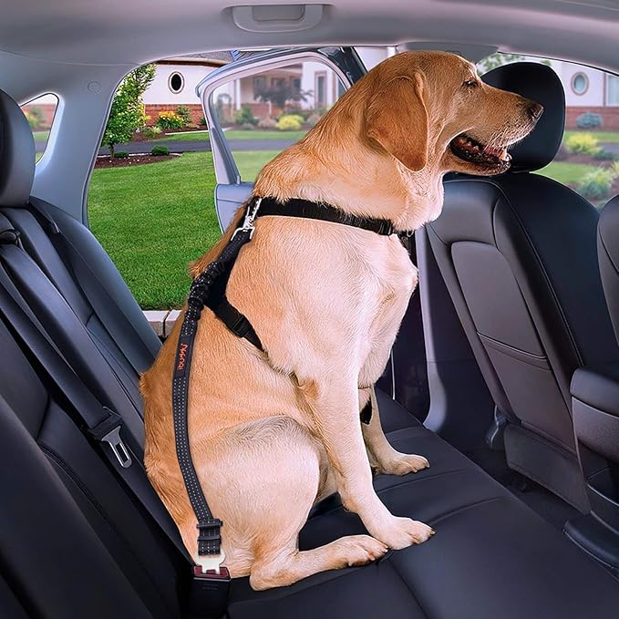 Dog Seat Belts for Cars of Small/Medium/Large Dogs,Adjustable Pet Seat Belt for Dog Harness with Dual Safe Bolt Hook and Elastic Durable Nylon Dog Safety Belt for Car