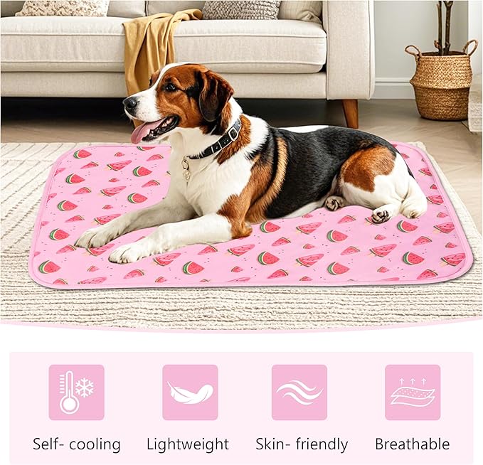 DELIFUR Cat Cooling Mat- Pet Cooling Mat Outdoor for Dogs Ice Pad for Kitten Cat Puppy Machine Washable (Small, Pink Watermelon)