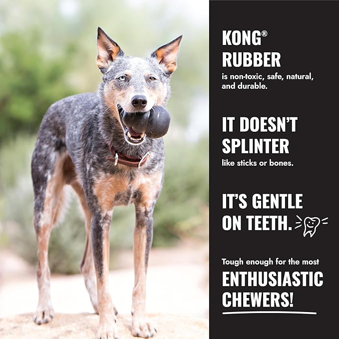 KONG Extreme Ball with Hole - Fetch Toy - Durable Dog Toy for Training, Interactive Playtime & More - Natural Extreme Rubber Ball - Black - for Large Dogs