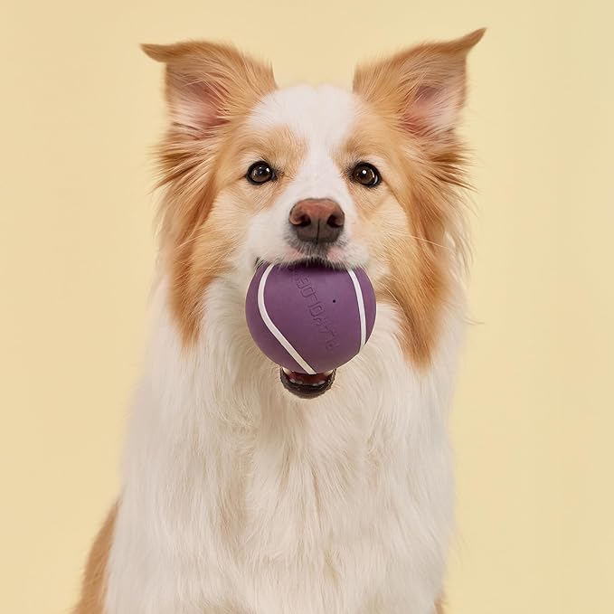 Playology Dog Toys | Squeaky Chew Ball for Large Dogs | Bacon Scented Jumbo Dog Balls | Bouncy Floating Chew Toys for Fetch