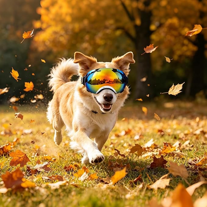 Dog Goggles for Medium to Large Breeds, Stylish Pet Sunglasses with Rainbow PC Lens, Soft TPU Frame & Adjustable Straps, Windproof Dustproof UV Protection Eyewear for Outdoor Riding Hiking (White)