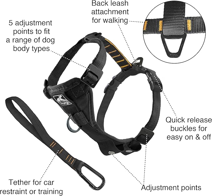 Kurgo Tru-Fit Smart Dog Walking Harness - Comfortable Fit - Adjustable Harness - Reflective Pet Wear - Quick Strap Release - Daily Walk Accessory - Includes Seat Belt Loop - Black - Medium