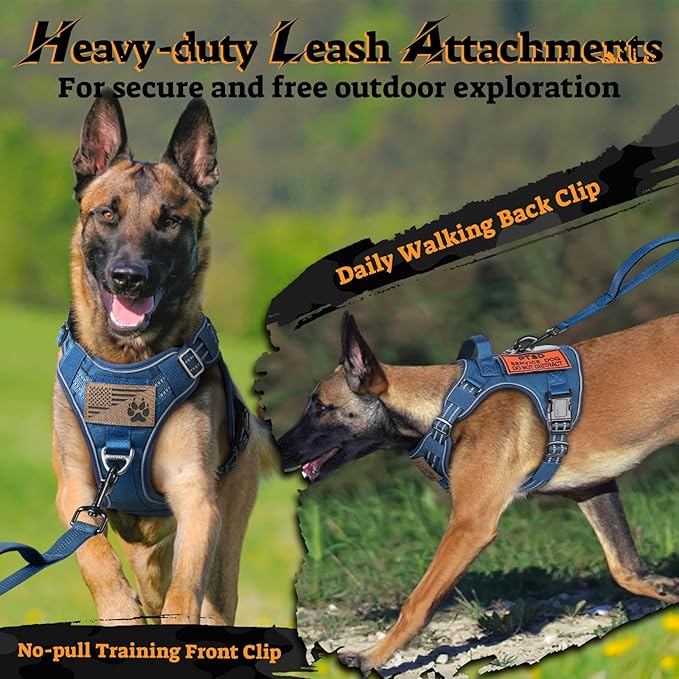 rabbitgoo Tactical Dog Harness for Large Dogs No Pull Adjustable Military Vest with Handle MOLLE Reflective Heavy Duty Dog Vest for Walking Training Hunting Outdoor Working Medium Size Dog Blue L