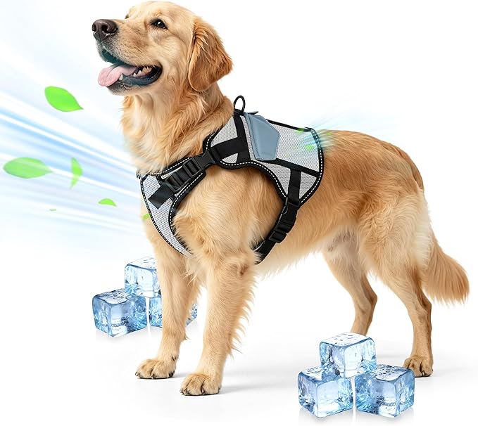 Cooling Dog Vest: Medium Dog Harness - Made from Aviation-Grade Temperature - Adjustable Soft Padded Pet Harness for Summer Hot Weather