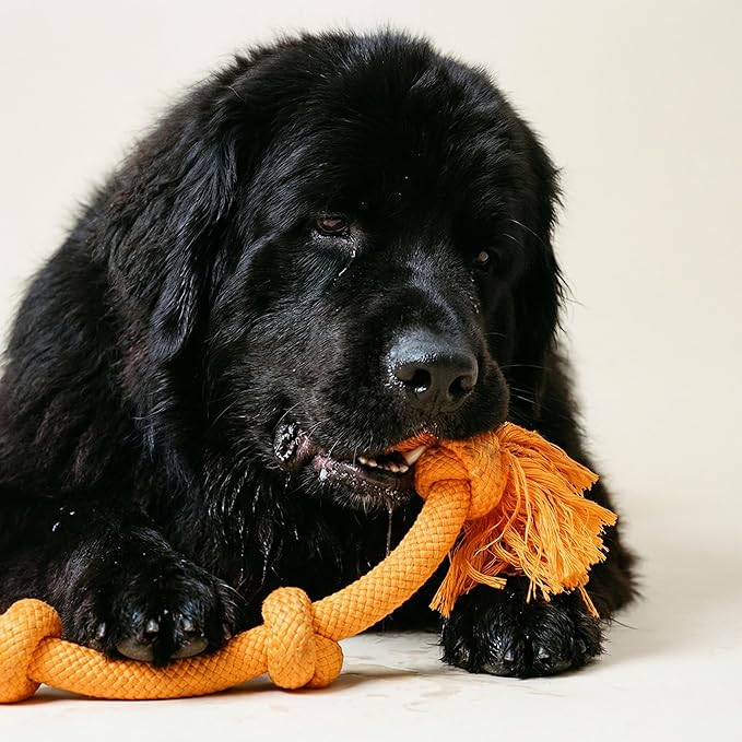 Playology Dog Toys | Dri-Tech Rope Tug of War Dog Toy for Tough Chewers | Cheddar Cheese Scented Mega Size Tug Rope Toys for Extra Large Dogs