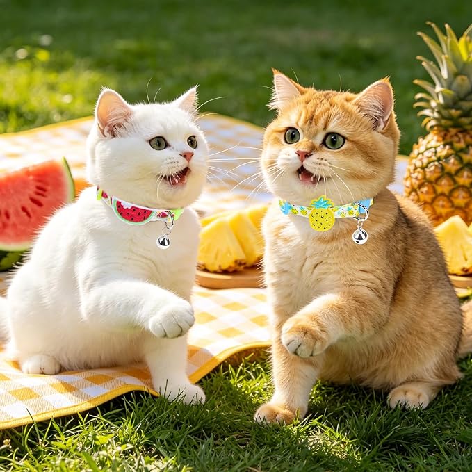 PUPTECK Cat Collar Breakaway with Bells, Kitten Collar Outfit Adjustable for Girl Boy Small Pet Puppy Bunny, Cute Costume Accessory with Safety Release Buckle (Sticker-Summer)