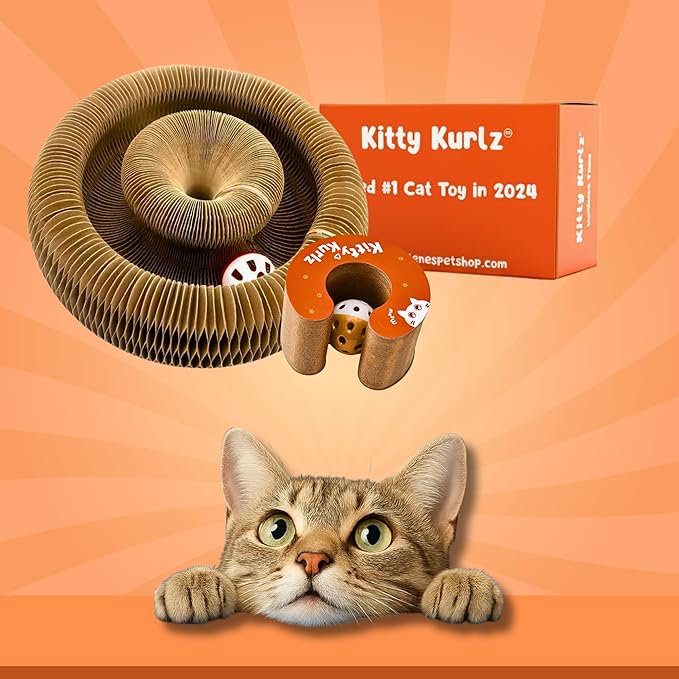 KITTY KURLZ Interactive Cat Toy with Rolling Ball, Shape-Shifting Cardboard Scratcher & Collapsible Scratch Pad Ring for Indoor Cats, Play, Lounge & Enrichment