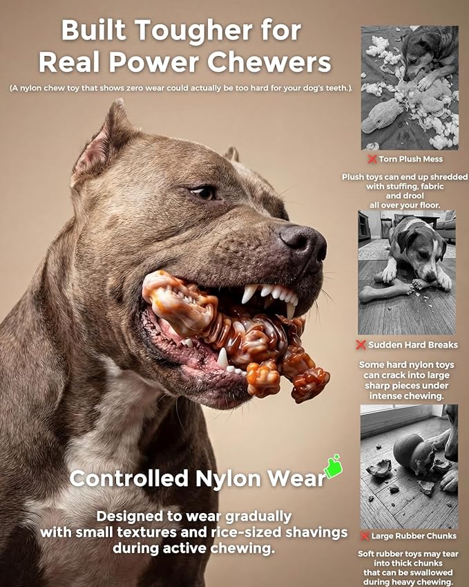 2 Pack Tough Nylon Dog Toys for Aggressive Chewers – Heavy Duty Dinosaur Chew Bones for Large Dogs (20–90 lbs), Bacon Flavor, Long-Lasting Power Chewer Toys to Keep Dogs Busy