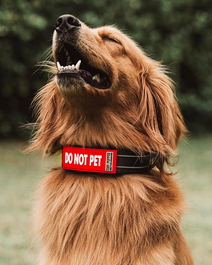 Tuff Pupper 2-Pack Waterproof Collar Sleeves | Fits Any 3/4 Inch Wide Dog Collar | Dual Sided Message | Durable Silicone & Neoprene | Odor & Stink Proof | Easy Slide On & Off (Do Not Pet, Small)