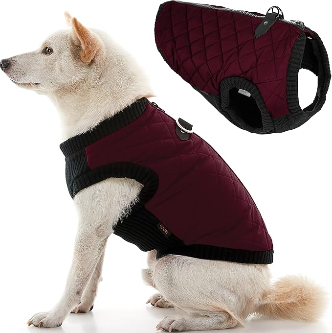 Gooby Fashion Vest Dog Jacket - Purple, X-Small - Warm Zip Up Dog Bomber Vest with Dual D Ring Leash Water Resistant for Small to Medium Dogs