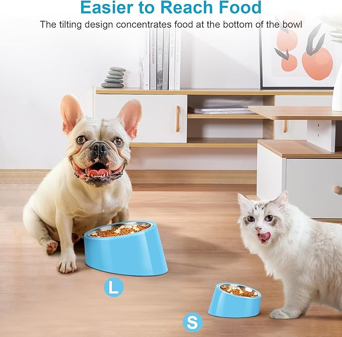 Tilted Dog Bowl Non-Slip & Non-Spill Pet Feeder with Elevated Detachable Melamine Stand, Easy to Get Food Dog Dish, S/100ml Sky Blue
