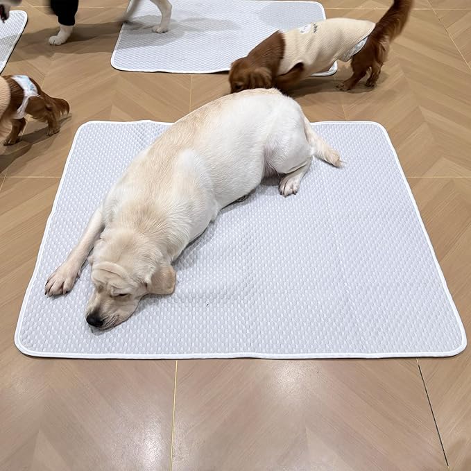 Dog Cooling Mat 46"x36" for Large Dogs (Labs, German Shepherds, Huskies), Q-Max>0.4 Ice-Silk, Waterproof Non-Slip Machine Washable for Crate Indoor Outdoor Travell (L)