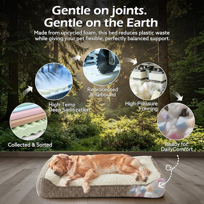 JOEJOY Orthopedic Dog Bed Medium Sized Dogs, Extra Thick Supportive Big Dog Couch Bed with Sides, Ultra Soft Pet Bed Sofa, Beige, 35''x25''