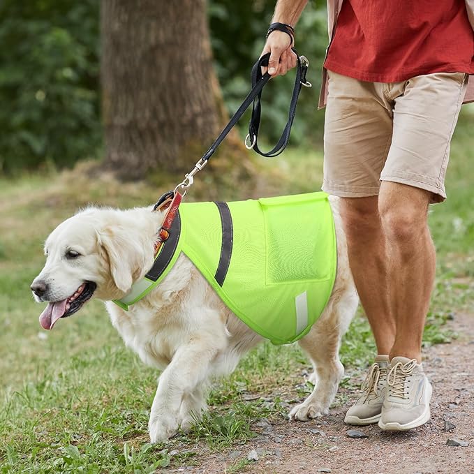Aliceset 2 Pcs Dog Cooling Vest with 4 Recyclable Ice Pack Summer Outdoor Dog Cooling Harness Shirt Adjustable Pet Cooler(Fluorescent Green,Extra Large)
