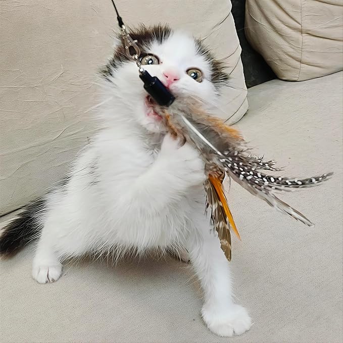 7 PCS Cat Wand Toy Refills - 6 Pack Natural Feather Attachments & 1 Replacement Elastic String with Lobster Clasp, Interactive Teaser Toy Refills for Indoor Cats and Kittens(6 Feather Refills)