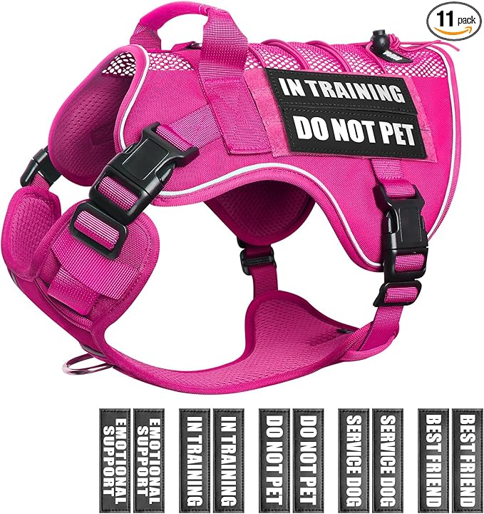 WINSEE Service Dog in Training Mesh Harness with 10 Pet Patches, Soft Air Mesh Breathable Tactical Dog Molle Vest, Reflective Military Pet Vest for Walking Hiking for Large Dogs
