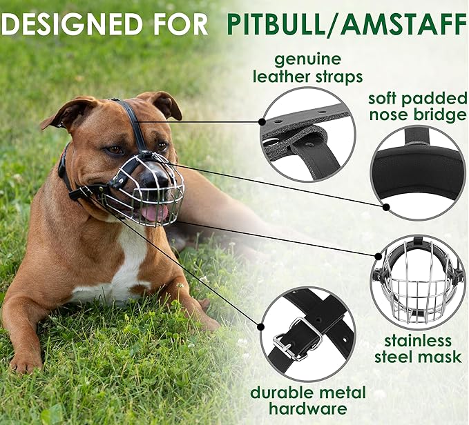 BRONZEDOG Pitbull Dog Muzzle Metal Mask Amstaff Wire Basket Pit Bull Adjustable Leather Straps for Large Dogs (Gold)
