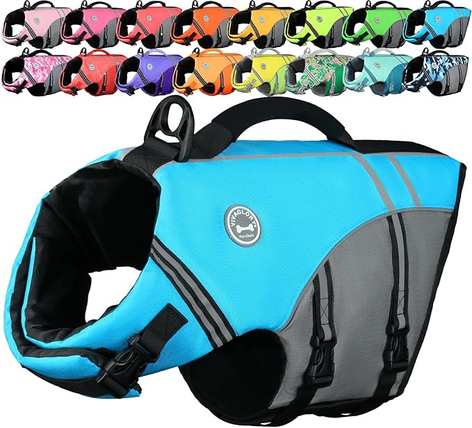 VIVAGLORY Sports Style Dog Life Vest, Dog Life Jacket for Swimming & Boating, Ripstop & Buoyancy for Puppy Doggy, Lifejacket with Handle, S, Blue