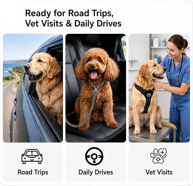 Dog Seat Belt 2Pcs, Retractable Pet Car Harness, Adjustable Dog SeatBelts for Vehicle, Nylon Pet Safety with Elastic Bungee
