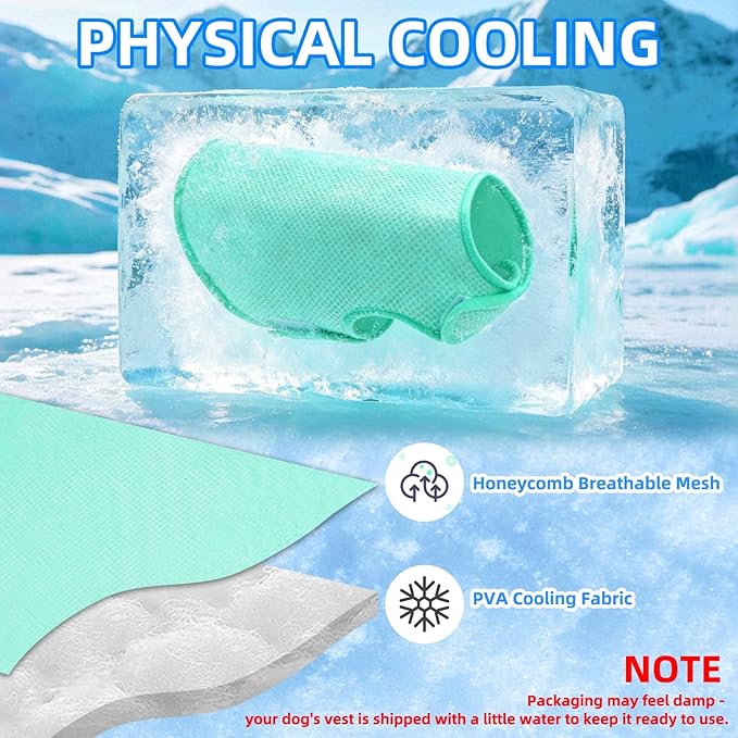 PUPTECK Dog Cooling Vest, Breathable Mesh PVA Dog Shirt, Lightweight Soft Instant Chill Sleeveless Pet Clothes, Adjustable Cooler Jacket Puppy Outfit for Hot Summer Outdoor, Green M