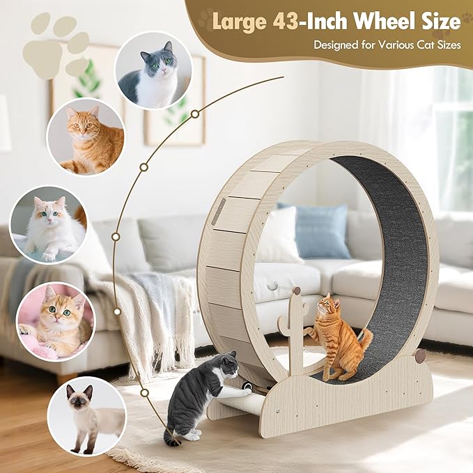 ZENY Cat Exercise Wheel, 43inch Cat Treadmill for Indoor Cats, Cats Running Wheel with Updated Enhanced Base and Carpeted Runway for Cat's Fitness