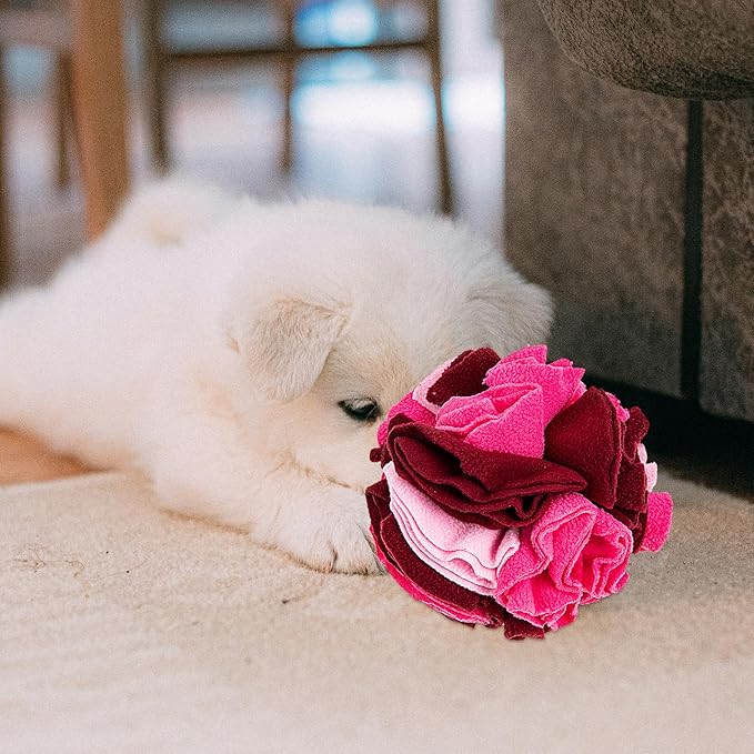 Interactive Foraging Ball for Dogs: Housoutil Dog Snuffle Ball Dog Brain Stimulating Puzzle Toys Slow Feeder Stress Relief Toy - Enhance Sniffing
