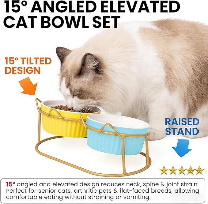 Ceramic Raised Tilted Cat Food Bowls Set - 15° Elevated Cat Food and Water Bowls for Indoor Cats/Kittens, Anti-Vomiting Pet Feeding Bowls (Non-Slip, BPA-Free)