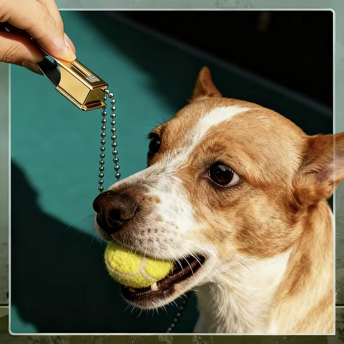Jenaai 3 Pieces Brass Pet Training Clicker Dog Necklace Signaling Cricket Clicker Training for Puppy Dogs Cat(Gold)