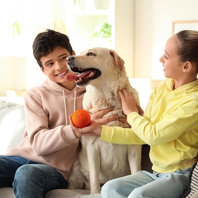 ALL FOR PAWS Interactive Dog Toy, Smart Dog Ball for Medium and Large Dogs, Automatic Moving, Bouncing and Rotating Ball Toy, ETPU Material, Motion-Activated and USB Rechargeable