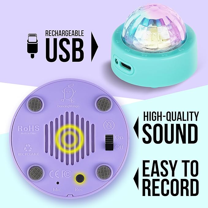 Voice Recording Button: Language Development, Learning Tool, Family & Classroom Use, Communication Fun, USB Rechargeable (Set of 4)
